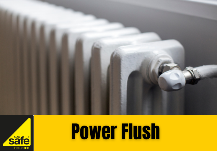 power flush Shorne